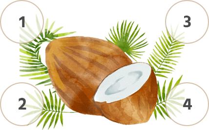 Coconut with number - Greenville Agro Corporation