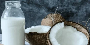 Coconut Milk - Greenville Agro Corporation