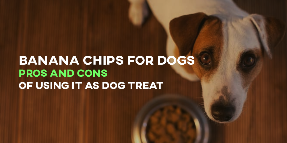 Banana chips for dogs - Greenville Agro Corporation