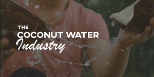 The-Coconut-Water-Industry