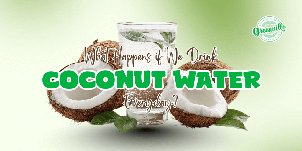 What Happens if We Drink Coconut Water Everyday