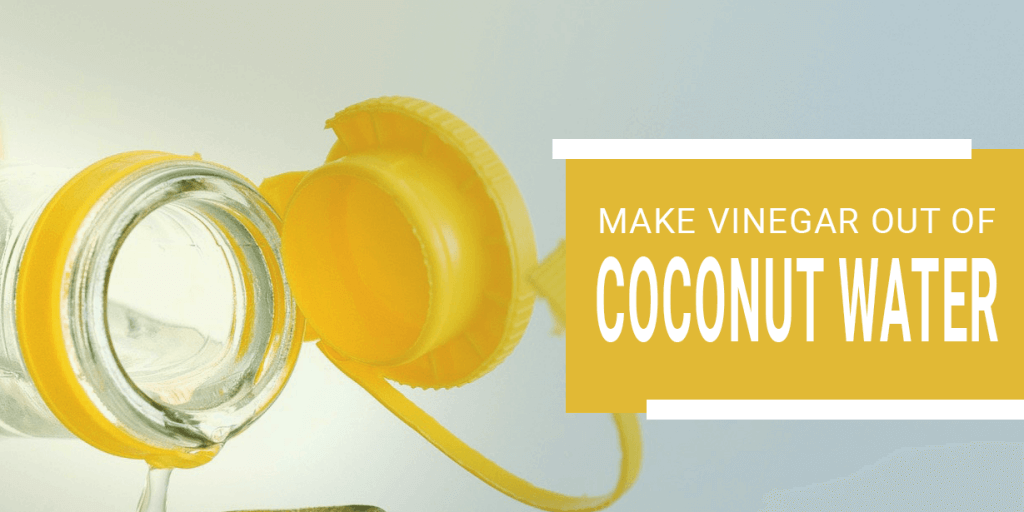 make-vinegar-out-of-coconut-water